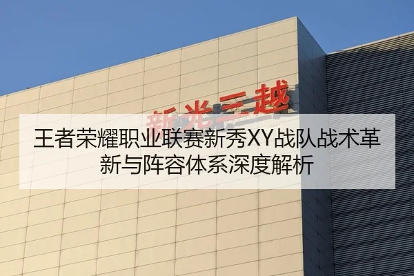 王者荣耀职业联赛新秀XY战队战术革新与阵容体系深度解析
